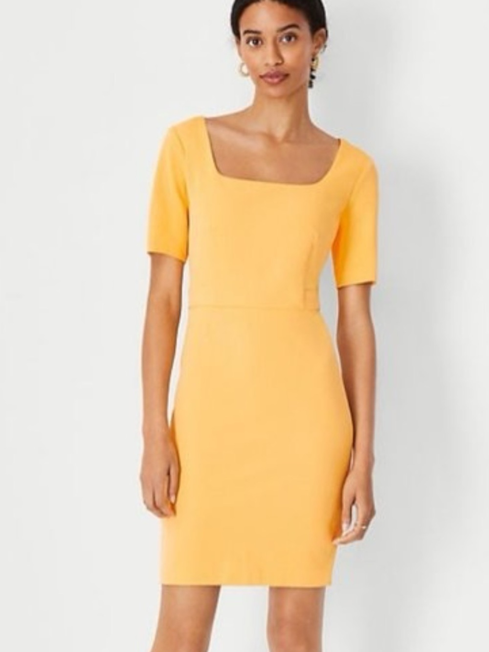 NWT Ann Taylor Scoop Neck Short Sleeve Sheath Dress Size 4P